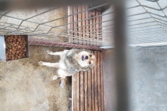 Bd. A. Vlaicu colt cu Str. Baba Novac microcip 642099000470549