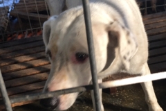 642099000461374 str. Gheorghe marinescu