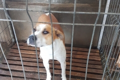 str.Putna microcip 6420900470504