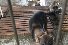 64209900046 1524 Zona interiaora str. Cincinat Pavelescu