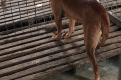 642099000461509 Aleea Portului Nou