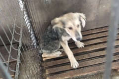 642099000470 str. Constantin Bobescu