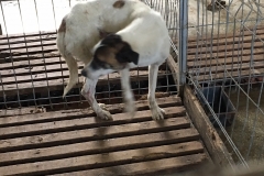 642099000445199 Zona peninsulara