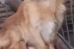 Interioara 1 microcip 642099000498701