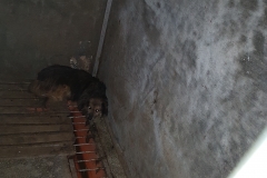 Str. Iuliu Maniu microcip 642099000498790