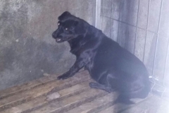 Zona Henry Coanda microcip 642099000498523
