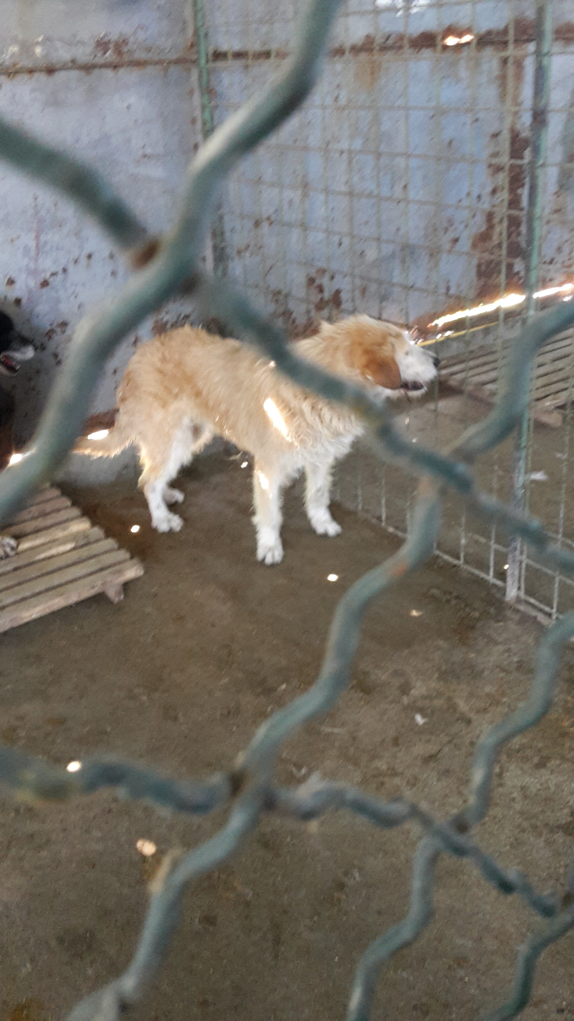 Picture 006