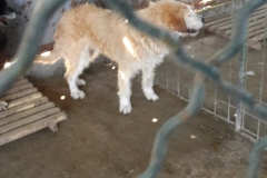 Picture 006