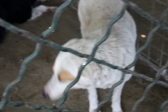 Picture 012