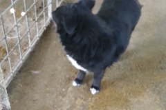 Picture 013